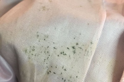 紡織類服裝發(fā)霉怎么辦？工廠如何應(yīng)對(duì)以及如何清洗